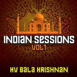 Loopmasters Indian Sessions Vol. 1 - KV Bala Krishnan