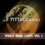 Pitched Senses: World Drum Loops Vol 1