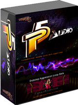 P5Audio Dubstep Aggression