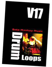 Beta Monkey Music Drum Werks XVII
