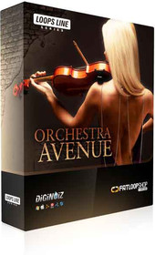 Diginoiz Orchestra Avenue