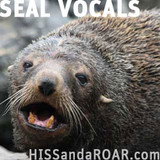 HISS and a ROAR Seal Vocals