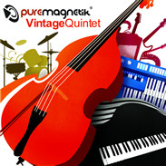 Puremagnetik Vintage Quintet