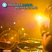 Producer Loops / Rekkerd DNB contest