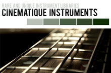 Cinematique Instruments Bowed Guitars