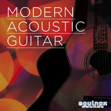 Equinox Sounds Modern Acoustic Guitar