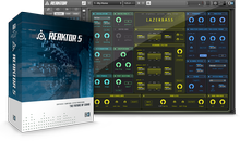 Native Instruments Reaktor 5.5