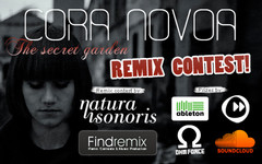 Cora Novoa Remix Contest
