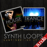 Roqstar Entertainment Synth Loops Bundle Vol.1