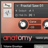 TeamDNR Sonic Physiology: Anatomy 01