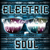 Stylus Loops Electric Soul