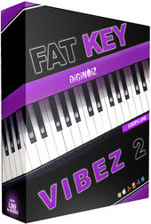 Diginoiz Fat Key Vibes 2