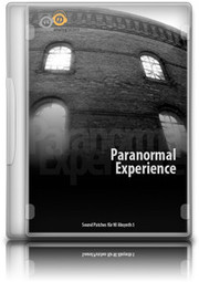 Analogfactory Paranormal Experience