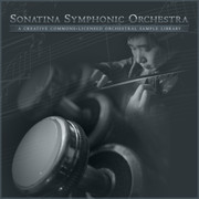 Sonatina Symphonic Orchestra