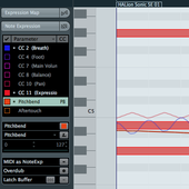 Steinberg VST Expression 2