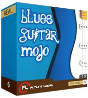 Future Loops Blues Guitar Mojo