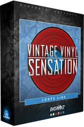 Diginoiz Vintage Vinyl Sensation