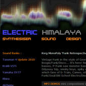 Electric Himalaya