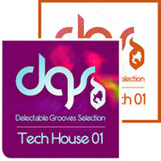 Delectable Grooves Collection Minimal Tech 01 & Tech House 01