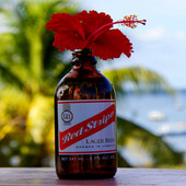 AfroDJMac Red Stripe Bottle Synth