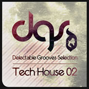 Delectable Grooves Selection Tech House 02