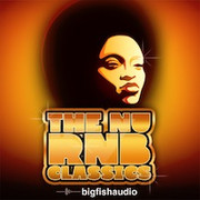 Big Fish Audio The Nu RnB Classics