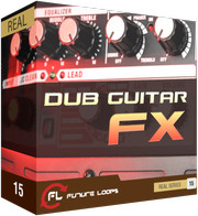 Future Loops Dub Guitar FX