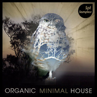 SPF Samplers Organic Minimal House