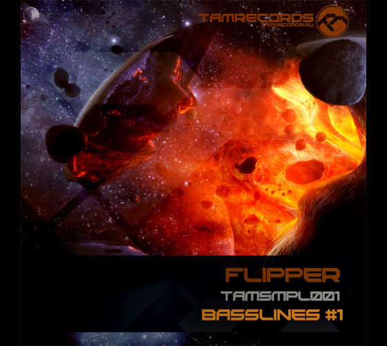 Flipper Basslines #1