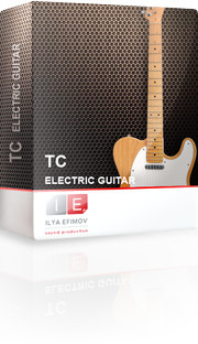 Ilya Efimov TC Electric Guitar