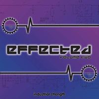 Industrial Strength Records Effected Vol 2