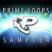 Loopmasters Prime Loops Label Sampler