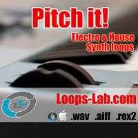 Loops Lab Pitch It!