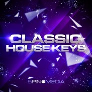 5Pin Classic House Keys