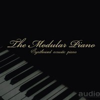 Audiority The Modular Piano