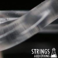 AudioThing Strings