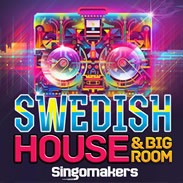 Singomakers Swedish House & Big Room