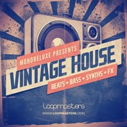 Monodeluxe Vintage House