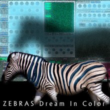Vintage Synth Pads Zebras Dream in Color