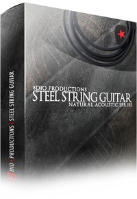 8Dio Productions Steel String Guitar