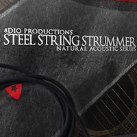 8Dio Productions Steel String Strummer