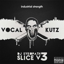 DJ Sykopath Vocal Kutz