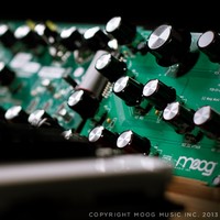 Moog's upcoming analog synth