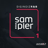 Diginoiz R&B Sampler