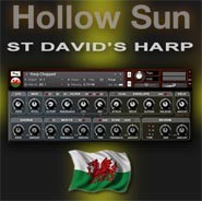 Hollow Sun St David's Harp