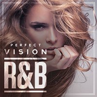 Diginoiz Perfect Vision R&B