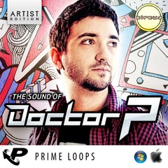Prime Loops The Sound of Doctor P