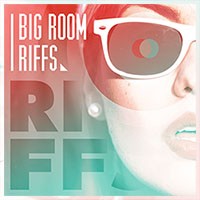 Diginoiz BIg Room Riffs