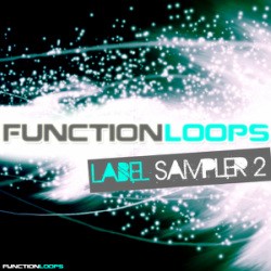 Function Loops Label Sampler 2