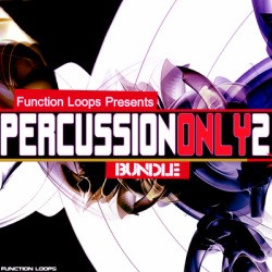 Function Loops Percussion Only 2